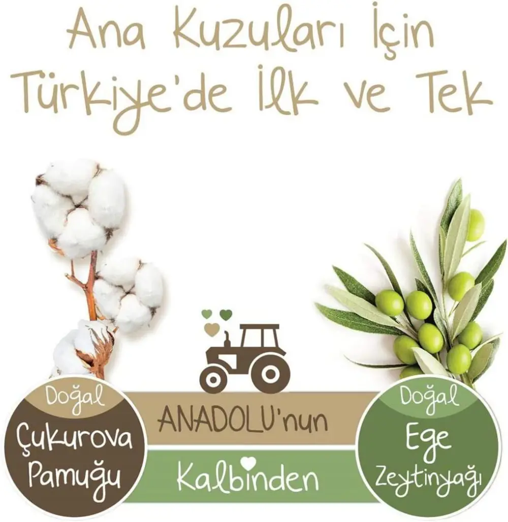 Baby Turco Doğadan 5 Numara Junıor 120 Adet BABYTUR5