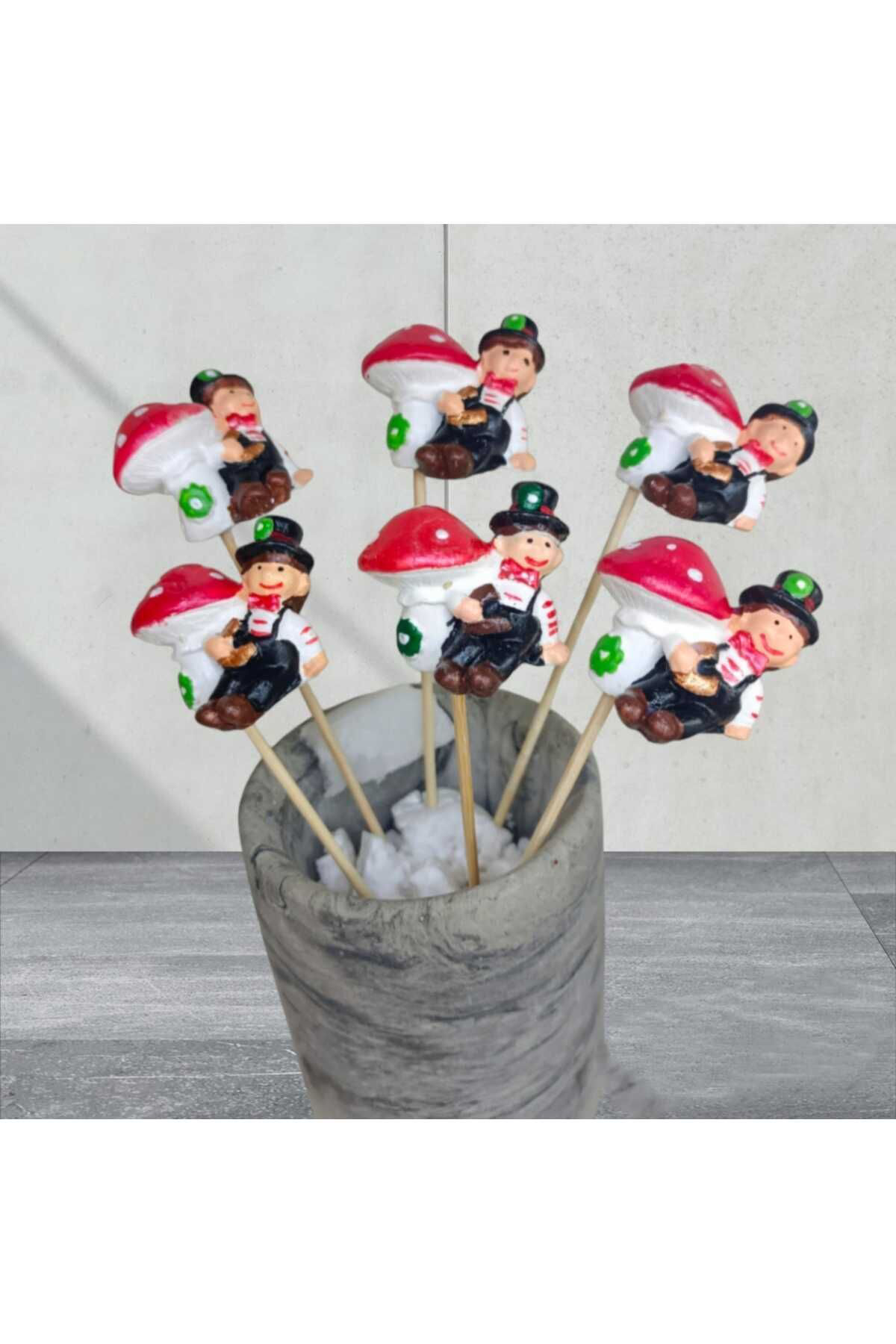 Dodemert Home Baca Temizleyici Nal Uğurlu Saksı Dibi Süsü & Teraryum Obje 5 Ade