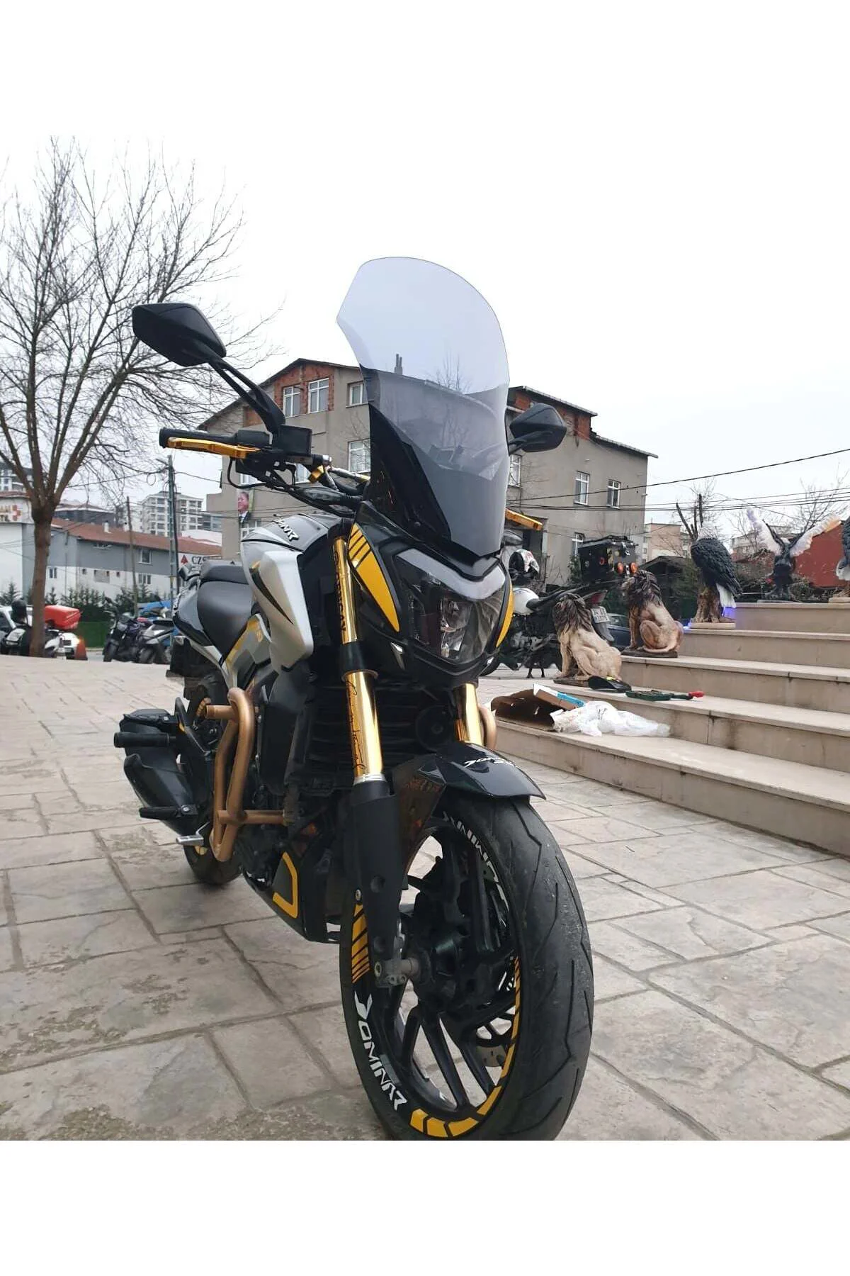 Bajaj Dominar 250 Ön Cam 2017-2026 Model 58cm Füme Renkli 4mm