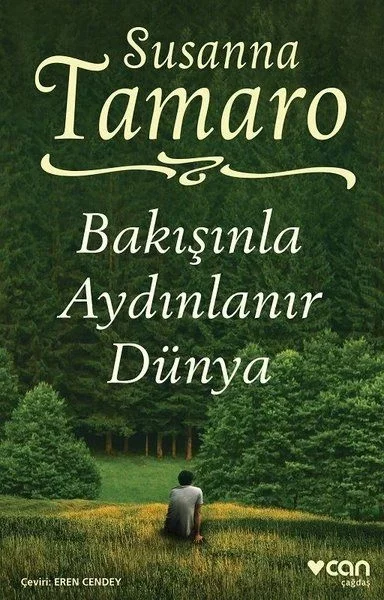 Bakışınla Aydınlanır Dünya Fiyatı, Yorumları ve Özellikleri