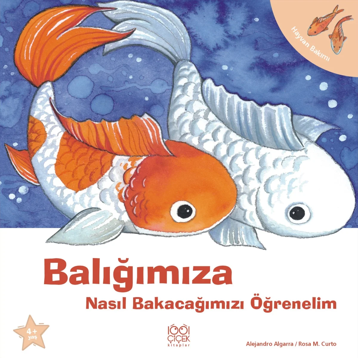 Balığımıza Nasıl Bakacağımızı Öğrenelim Fiyatı, Yorumları ve Özellikleri