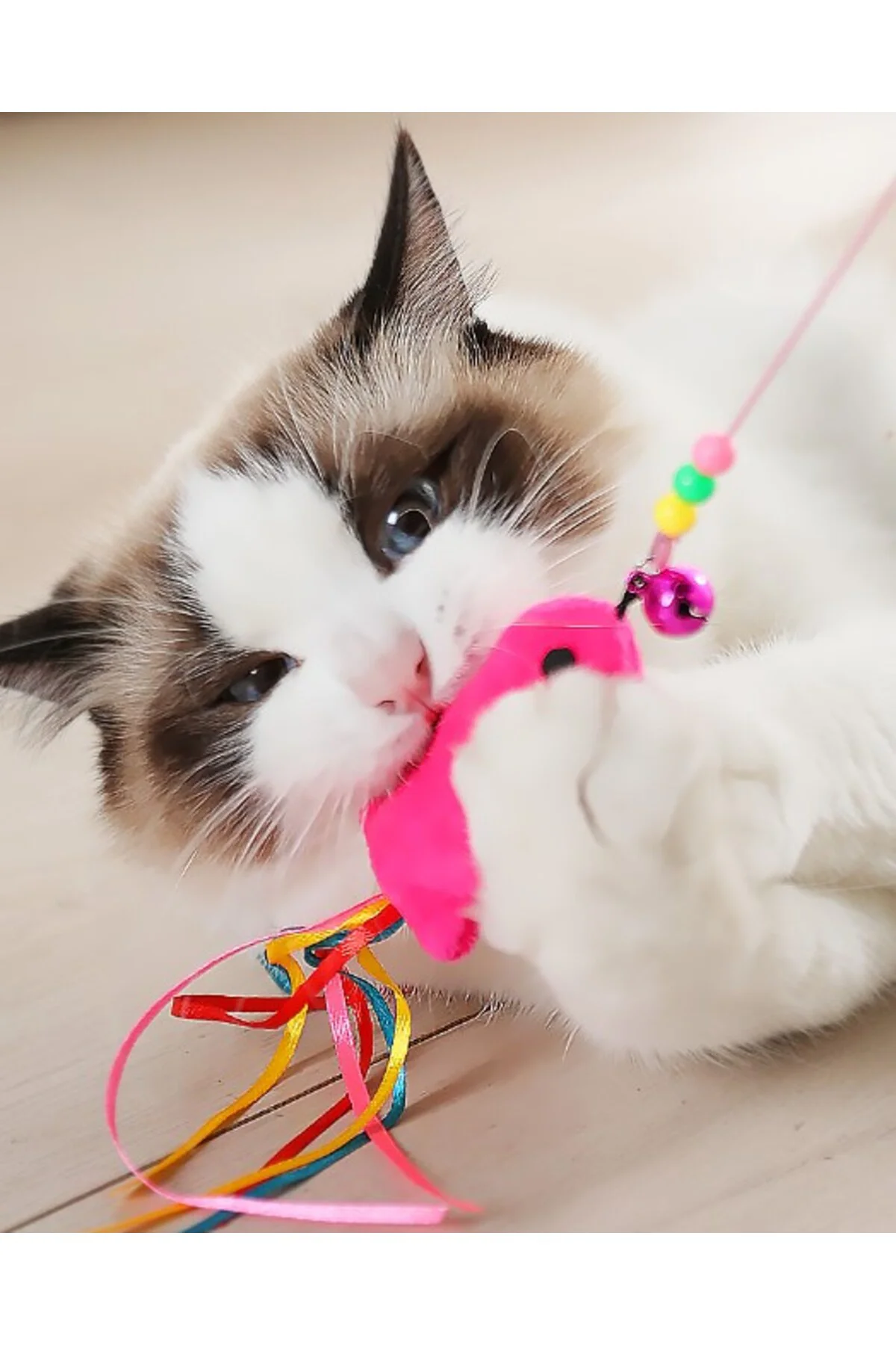 Balıklı Kedi Oyun Oltası