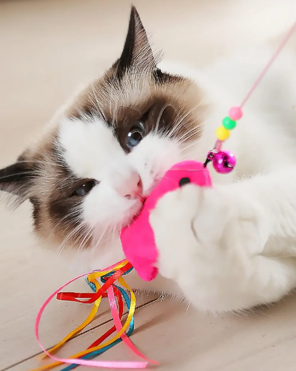 Balıklı Kedi Oyun Oltası 90 Cm Balıklı Kedi Oyun Oltası 90 Cm