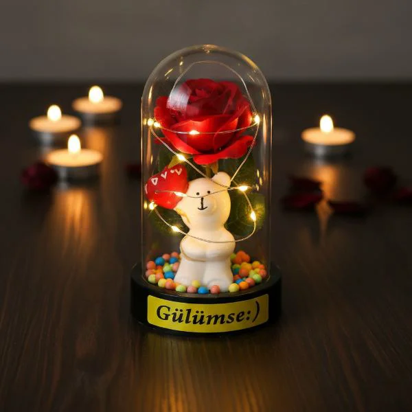 Balonlu Ayıcık Ledli Gül Fanus Dekoratif Masa Lambası