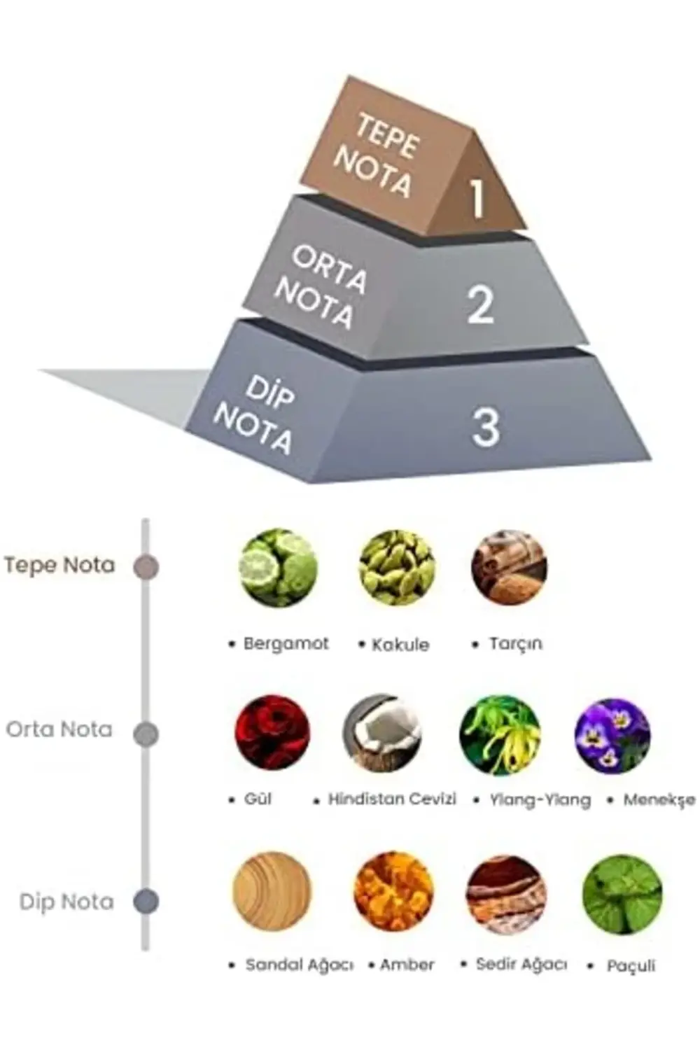 Bambu Çubuklu Oda Kokusu 100ml 890831