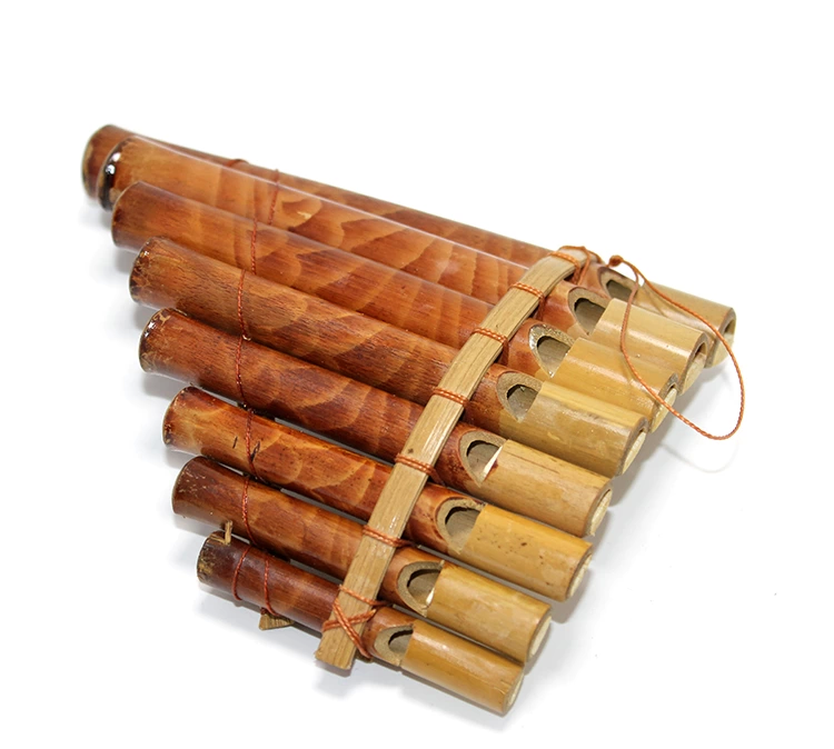 Just Cheap Store Bambu Pan Filüt Küçük Diarta No:10