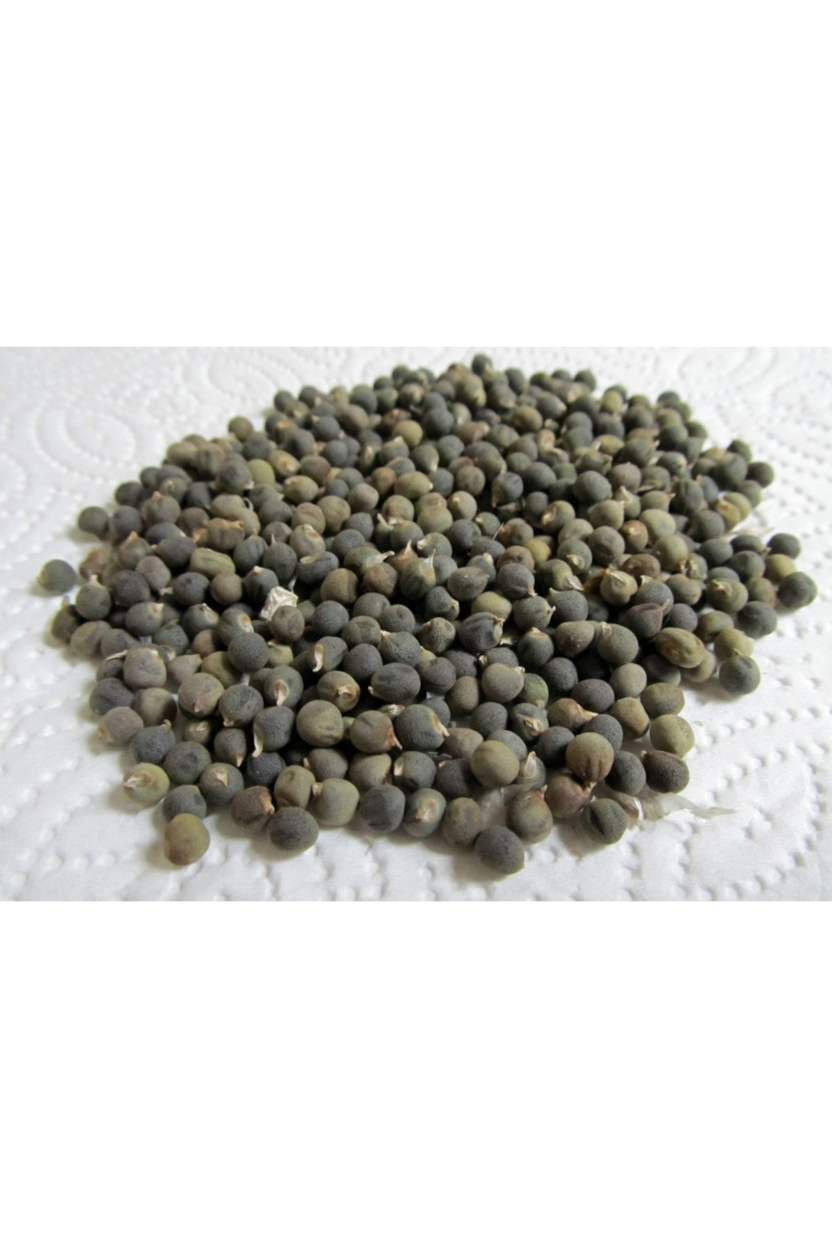 Çerçi Yusuf Bamya Tohumu 500 Gr