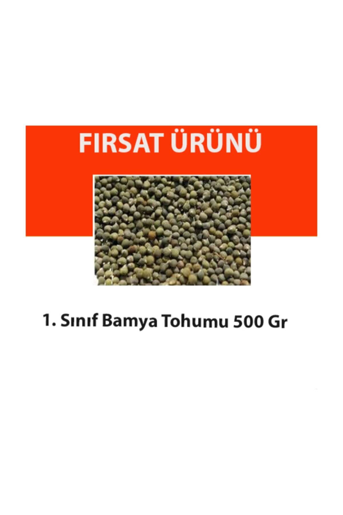 Bamya Tohumu 500 Gr