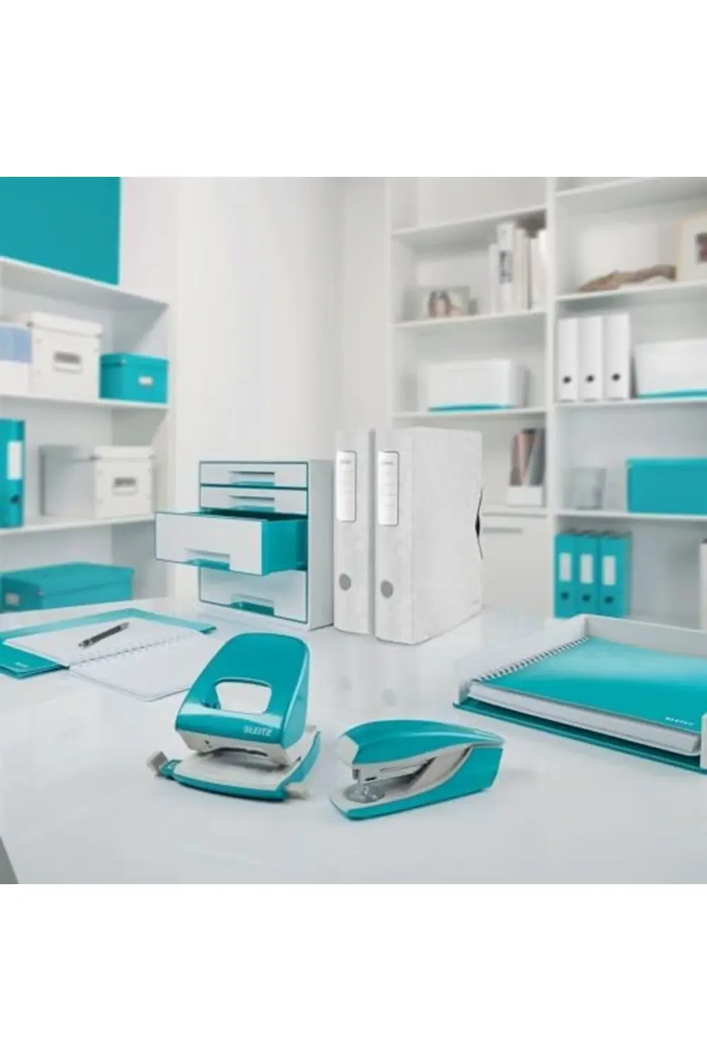 BANTLIK ÇİFT RENK 395519