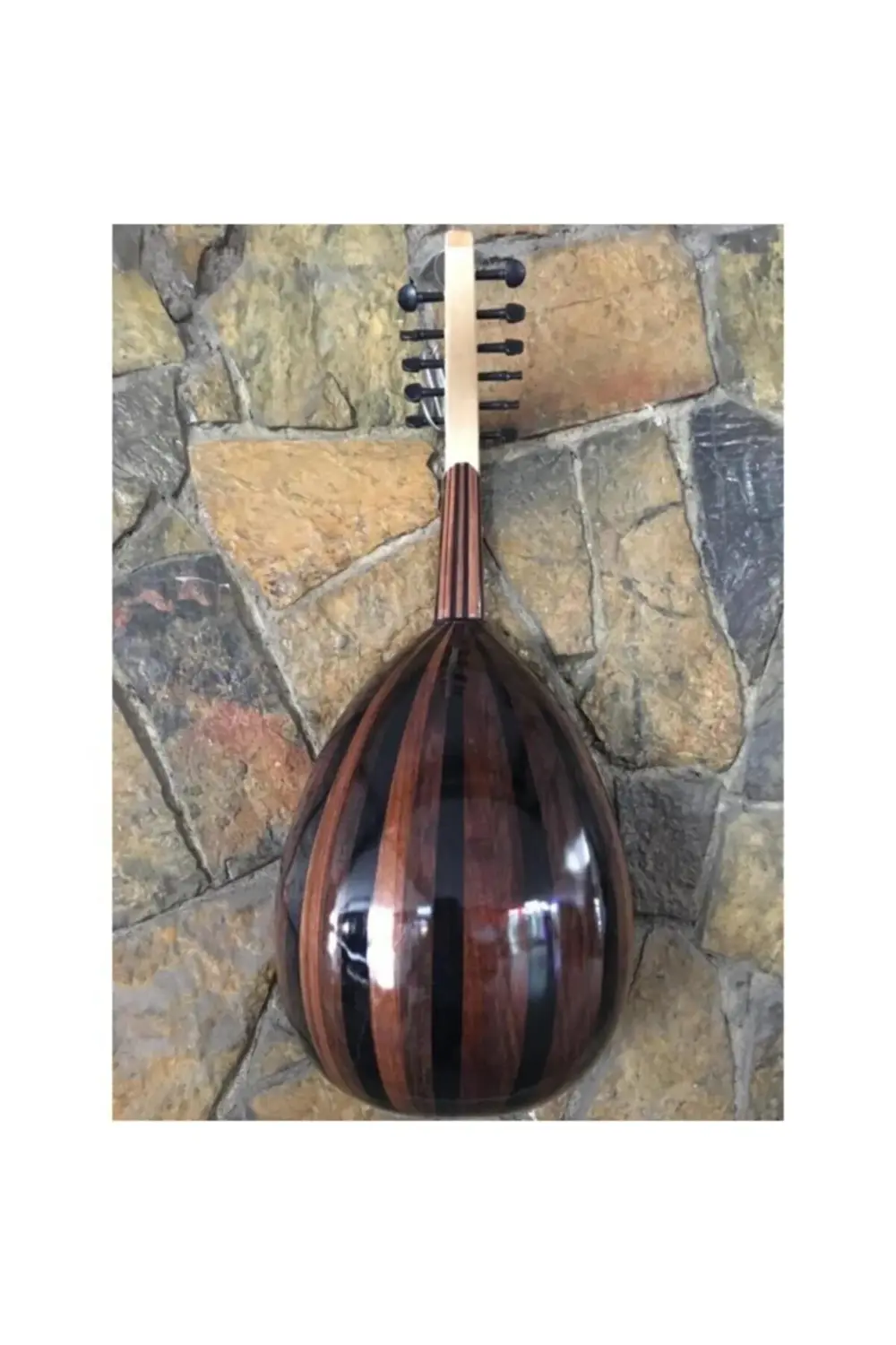 Başlangıç Ud Ceviz Ağacı Eğitimlik Parlak Polyester