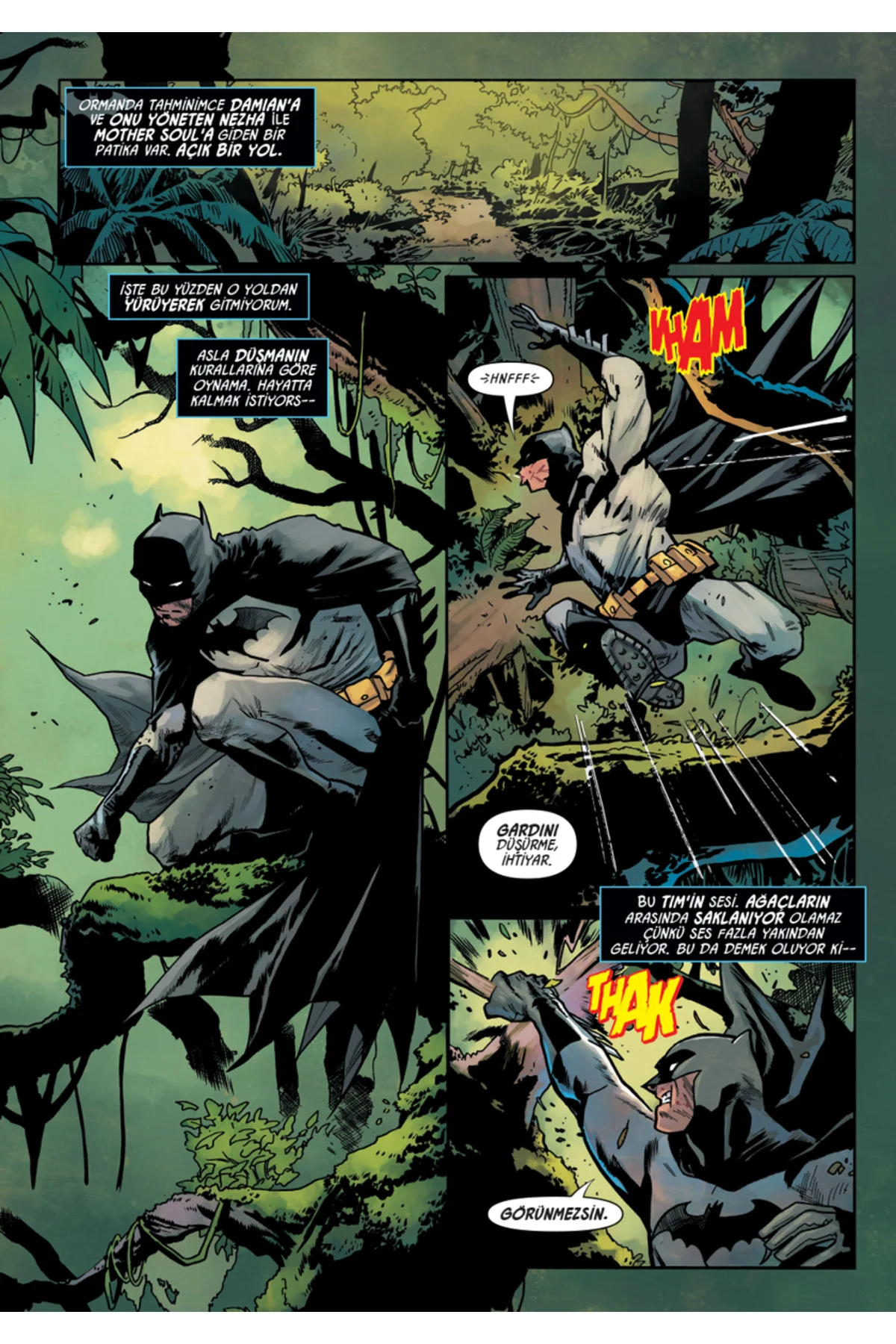 Batman Vs. Robin