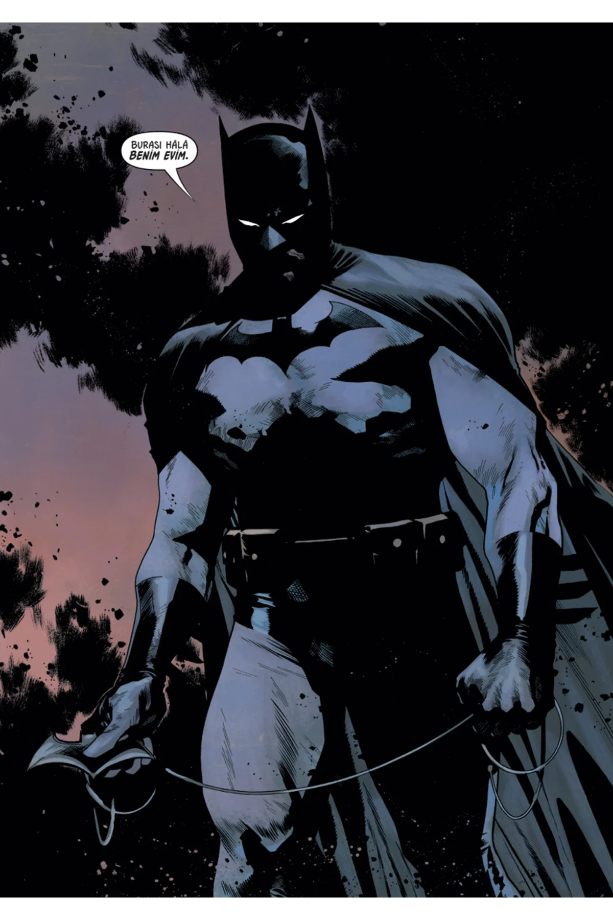 Batman Vs. Robin