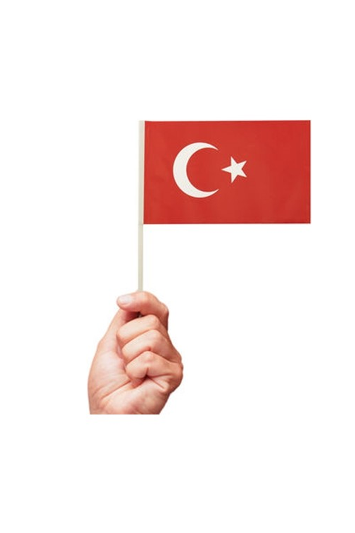 Just Cheap Store Battal Çıtalı Bayrak Ay Yıldız 40'Lı