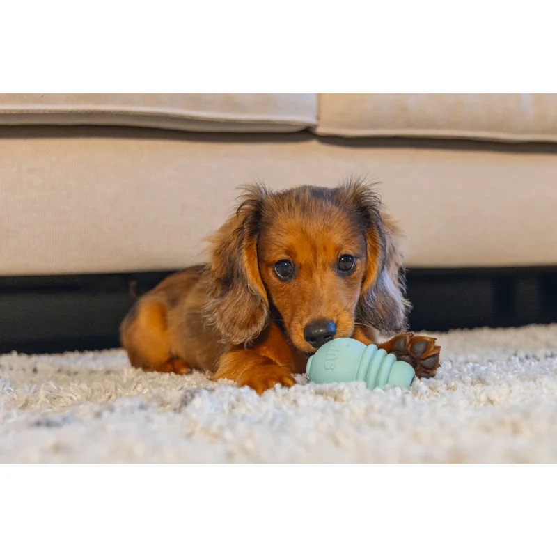 Yavru Köpek Sumo Mını Dental Oyuncak Xs 3-6 kg
