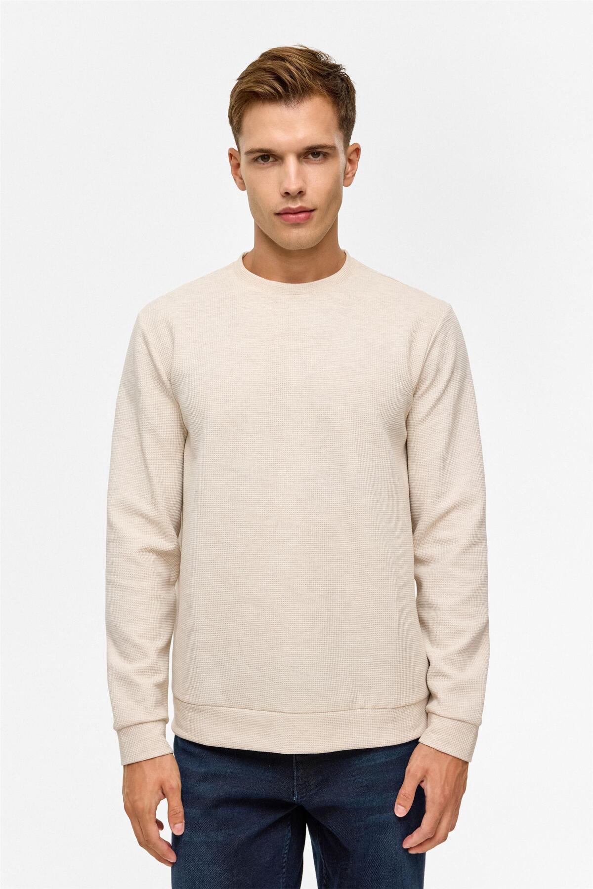 Gri Regular Düz Bisiklet Yaka Sweatshirt