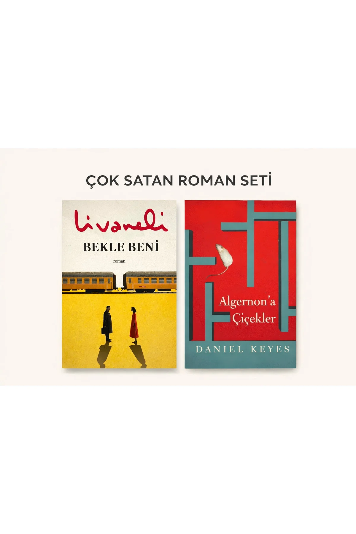 Bekle Beni&Algernon'a Çiçekler Bekle Beni&Algernon'a Çiçekler