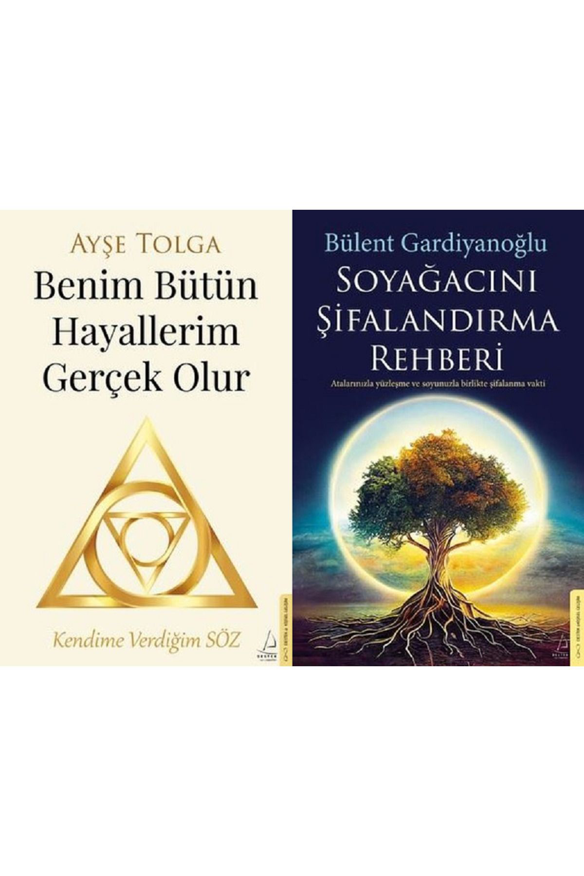 Benim Bütün Hayallerim Gerçek Olur + Soyağacını Şifalandırma Rehberi 2 Kitap Set