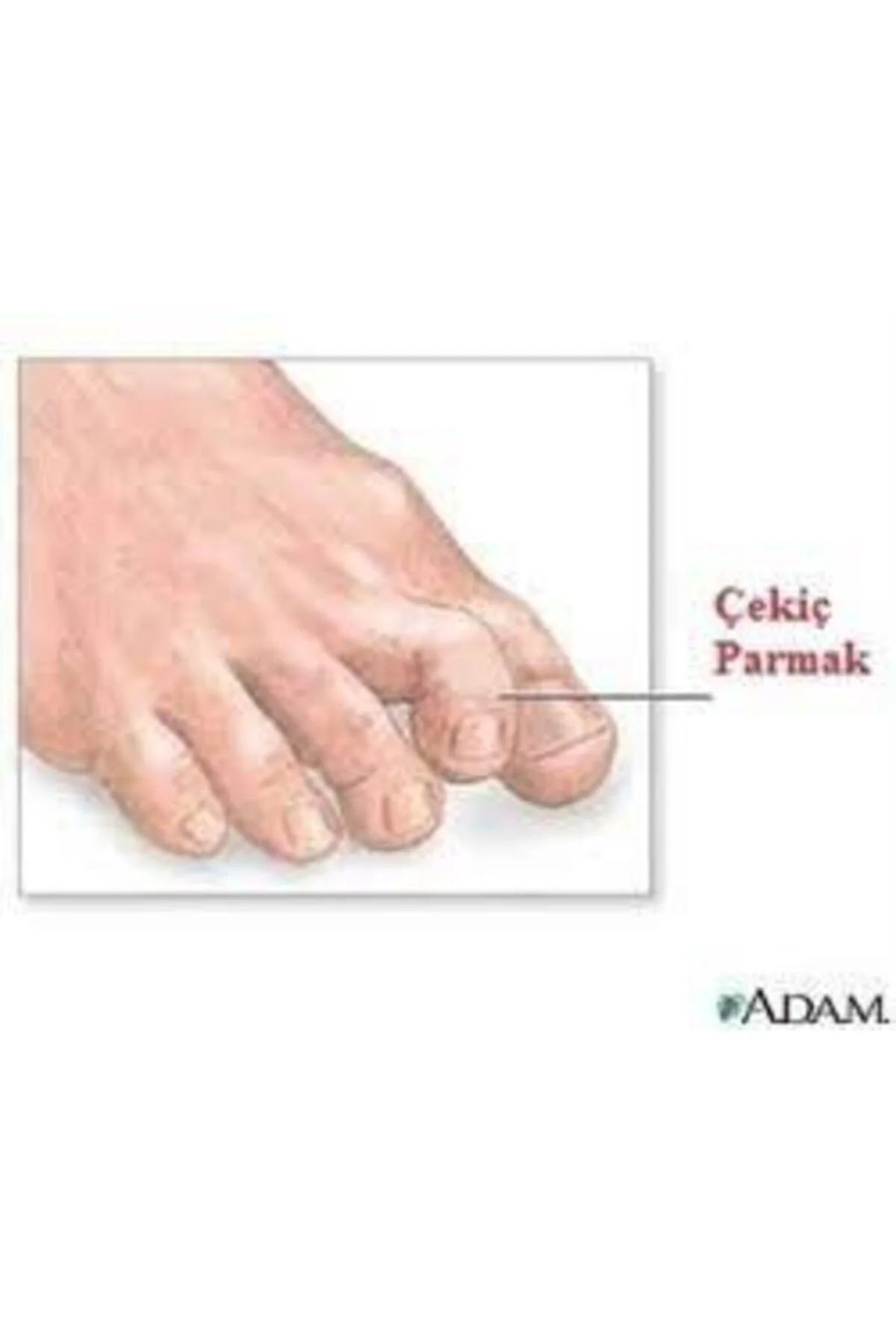 Beş Parmak Gündüz Ateli Sağ Sol Çift