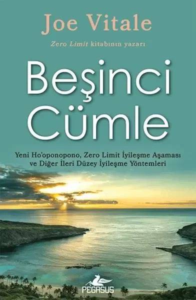 Beşinci Cümle Fiyatı, Yorumları ve Özellikleri