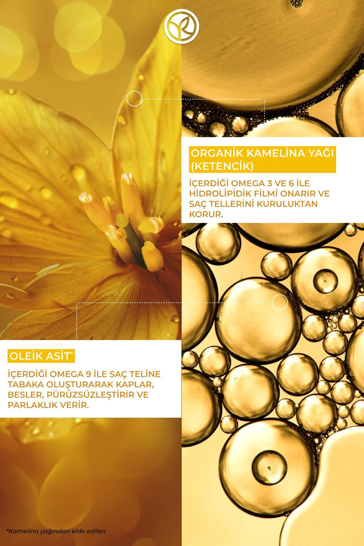 Besleyici Kamelina Bakım Yağı- Kuru/ Çok Kuru Saçlar/ Nutrition-4