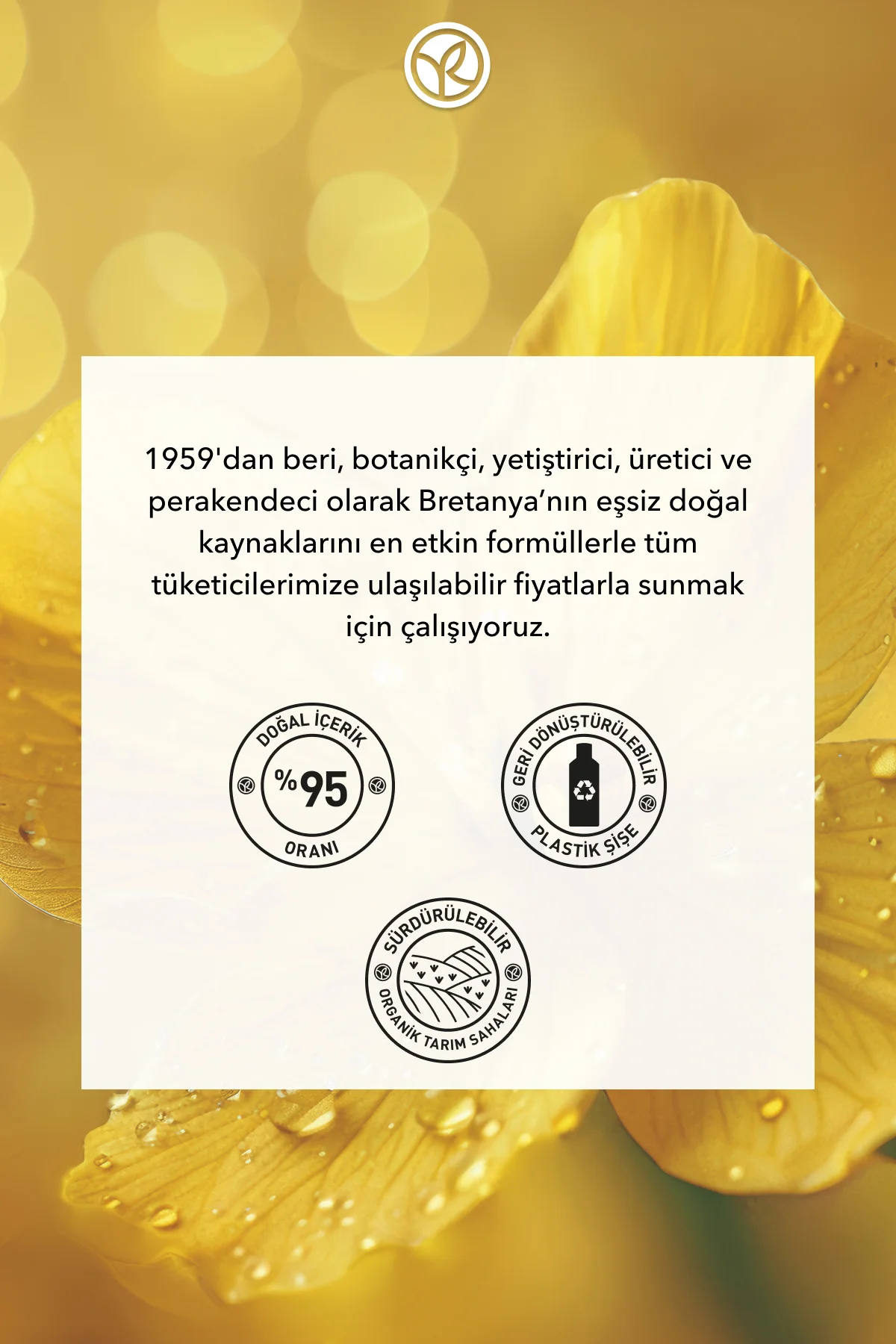 Besleyici Prebiyotik Maske - Kuru Çok Kuru Saçlar / Nutrition - V