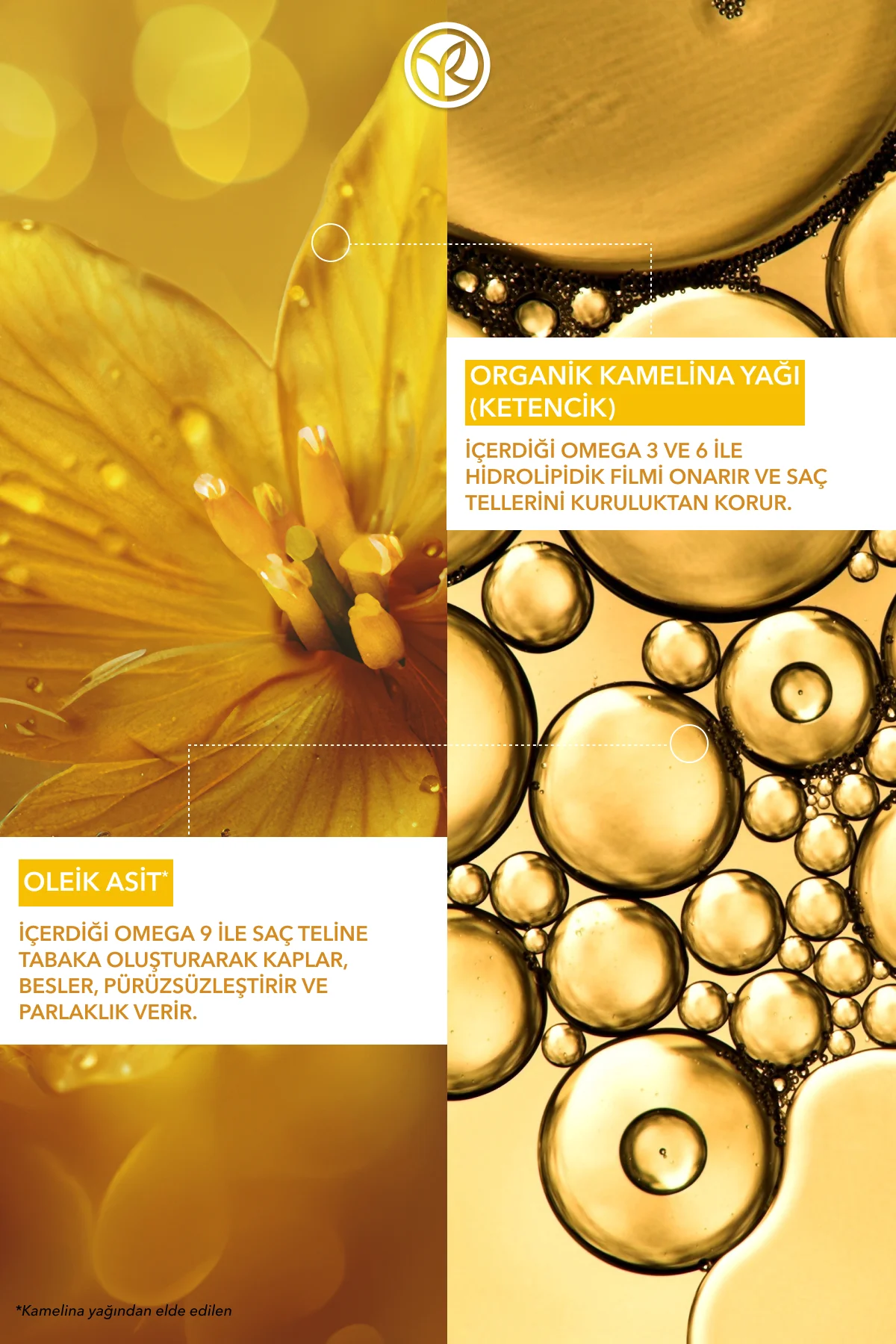 Besleyici/Şekillendirici Bakım Kremi - Kuru Çok Kuru Saçlar / Nut