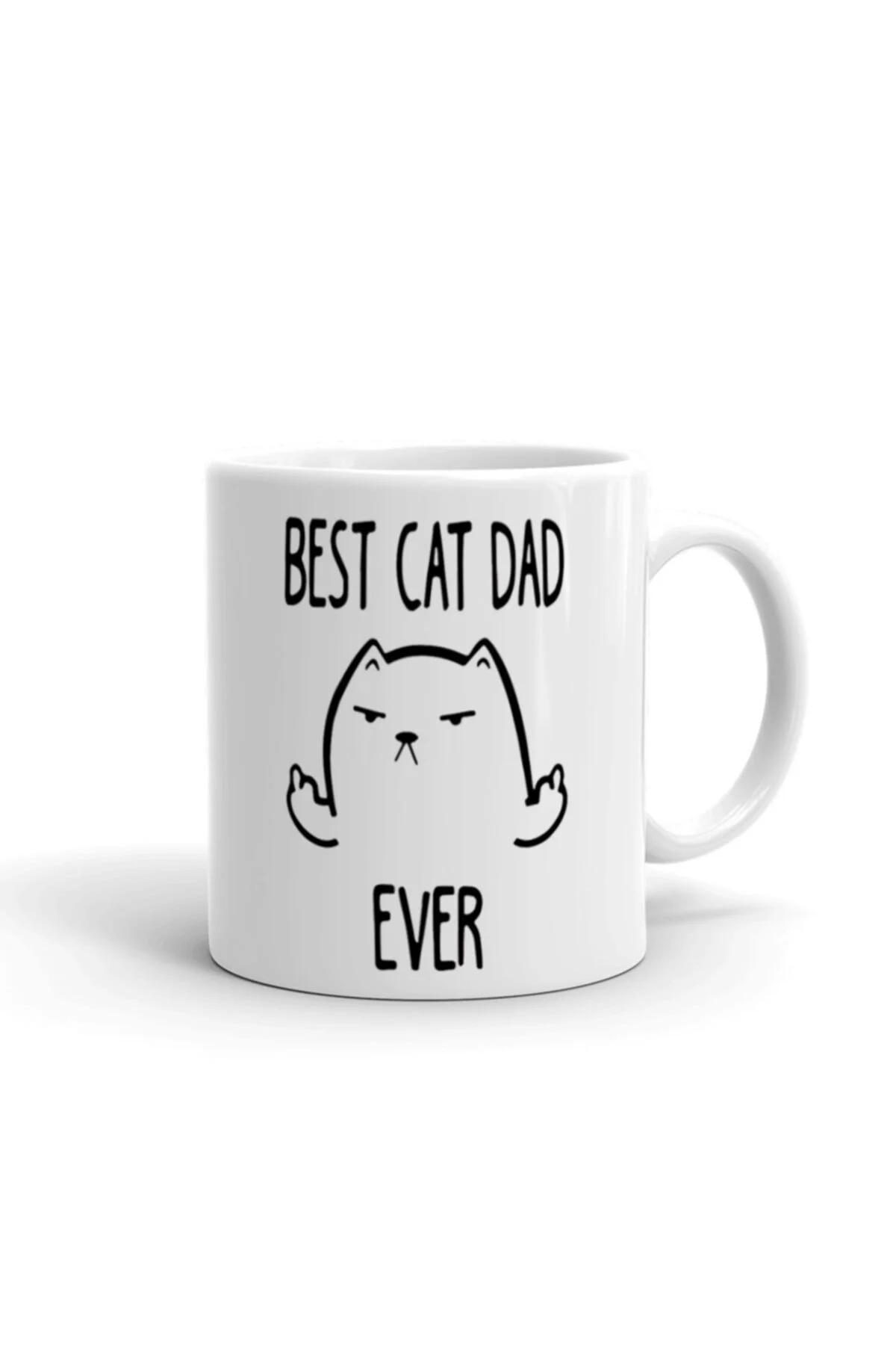 Best Cat Dad Ever Kupa Bardak