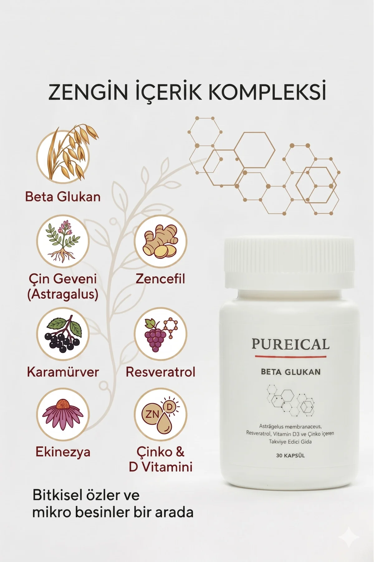 Beta Glukan Çin Geveni Karamürver Ekinezya Zencefil Resveratrol Ç