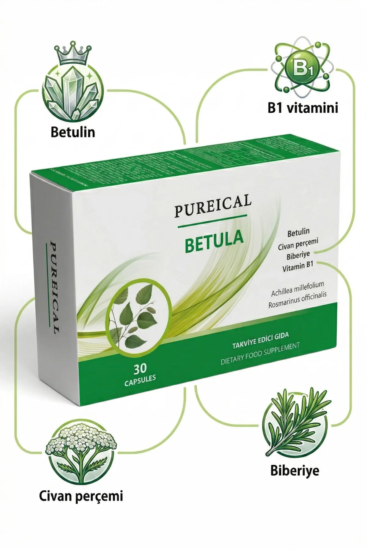 Betula Huş Ağacı Özü Betulin Civan Perçemi Biberiye B1 Vitamini 3