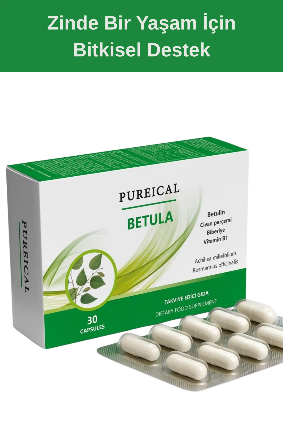 Betula Huş Ağacı Özü Betulin Civan Perçemi Biberiye B1 Vitamini 3
