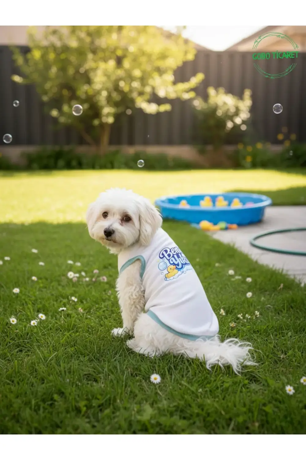 Beyaz Beni Yıka Baskılı Kedi ve Köpek Kıyafeti–Evcil Hayvan Tişör