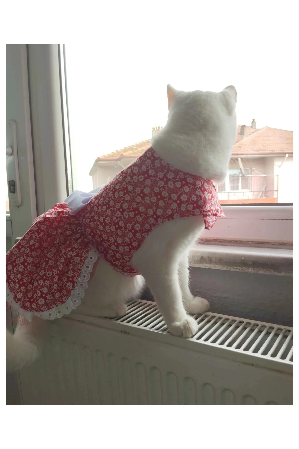 Beyaz Çiçek Desenli Fiyonklu Kırmızı Kedi Köpek Kıyafeti Elbisesi