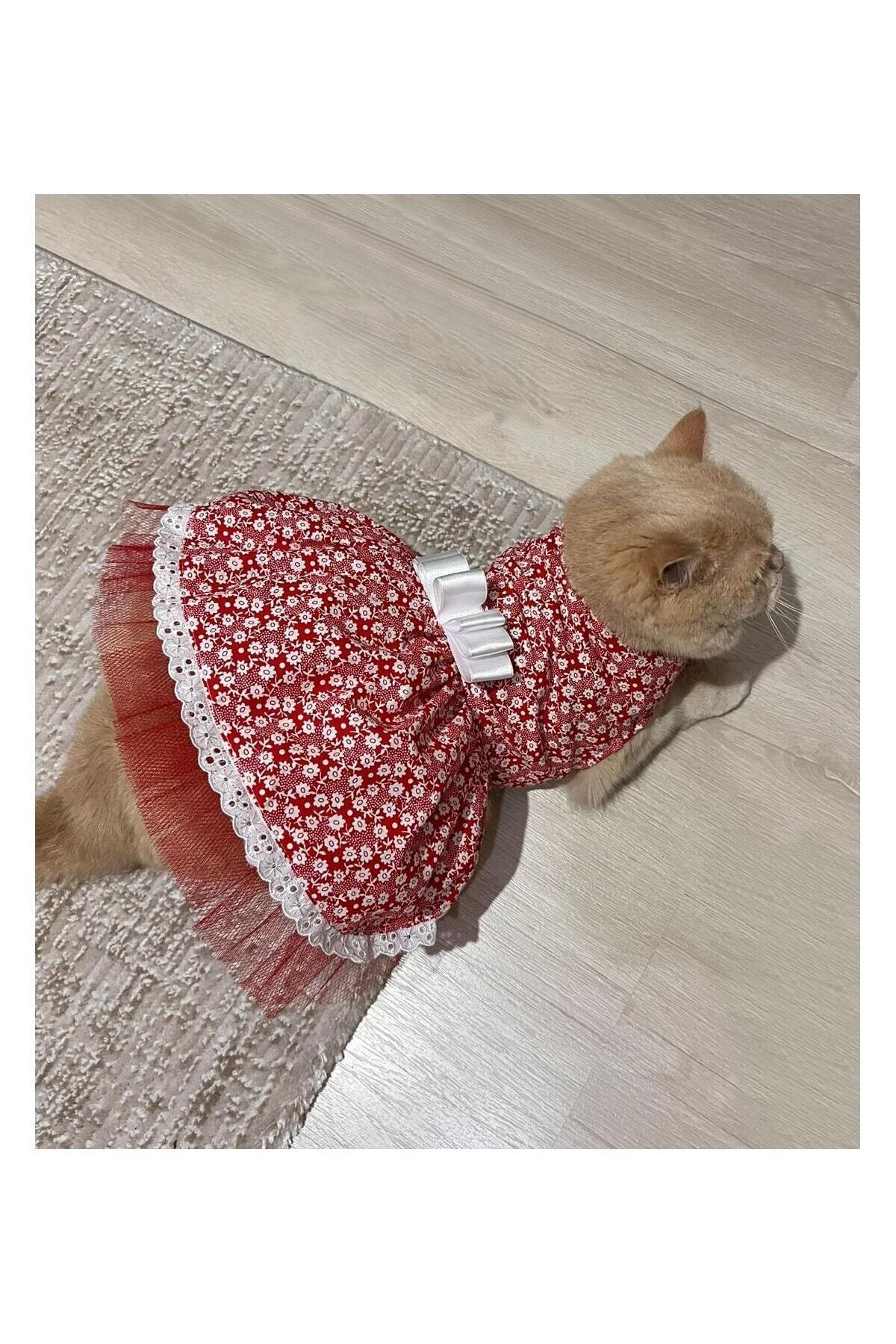 Beyaz Çiçek Desenli Fiyonklu Kırmızı Kedi Köpek Kıyafeti Elbisesi
