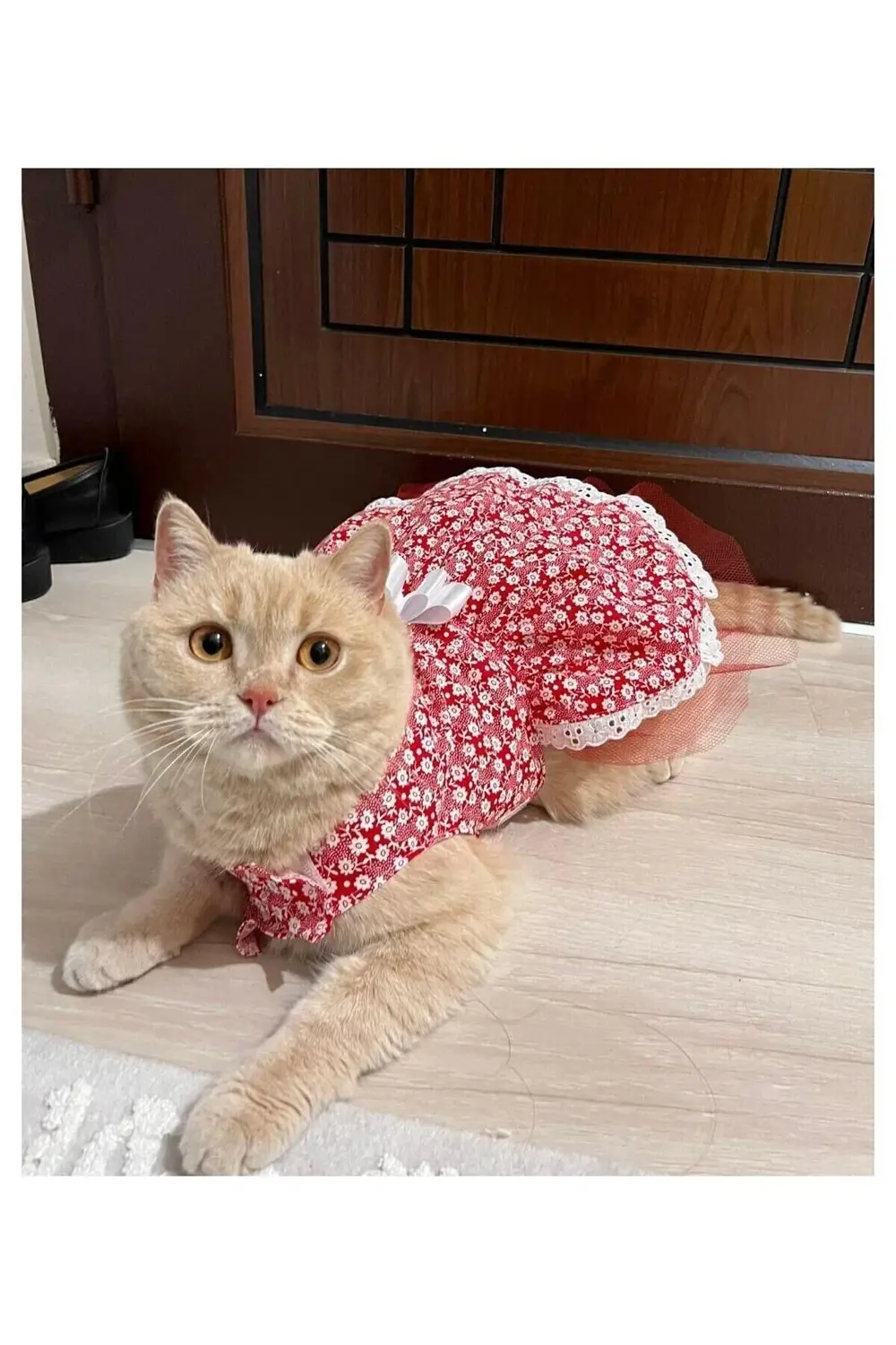 Beyaz Çiçek Desenli Fiyonklu Kırmızı Kedi Köpek Kıyafeti Elbisesi