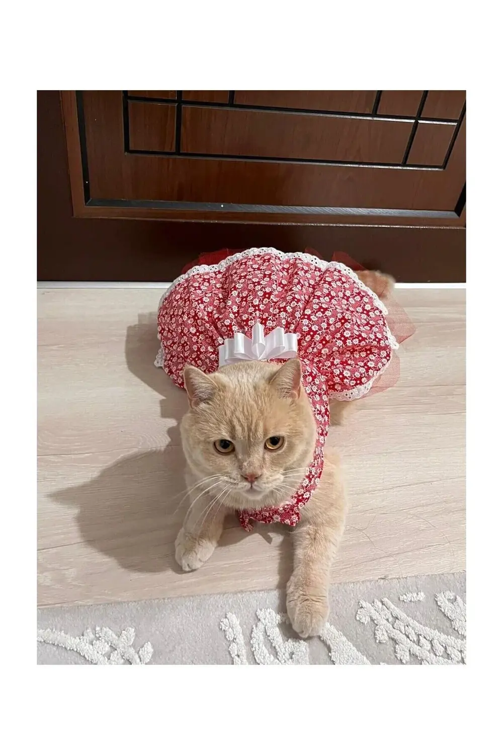 Beyaz Çiçek Desenli Fiyonklu Kırmızı Kedi Köpek Kıyafeti Elbisesi