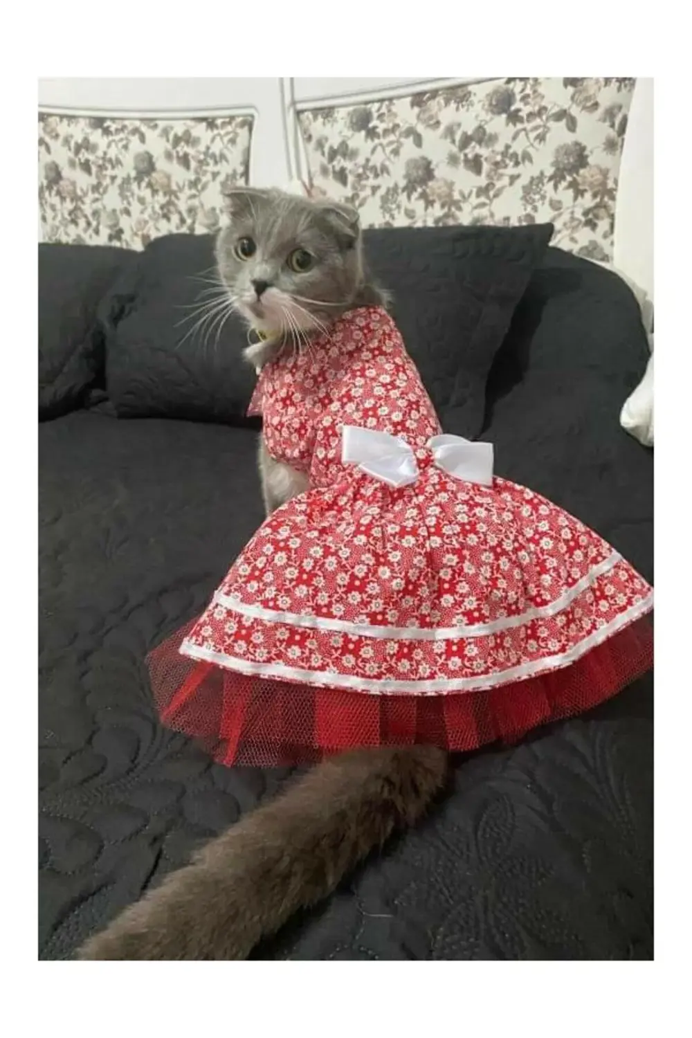 Beyaz Çiçek Desenli Kurdeleli Kırmızı Kedi Köpek Kıyafeti Elbises