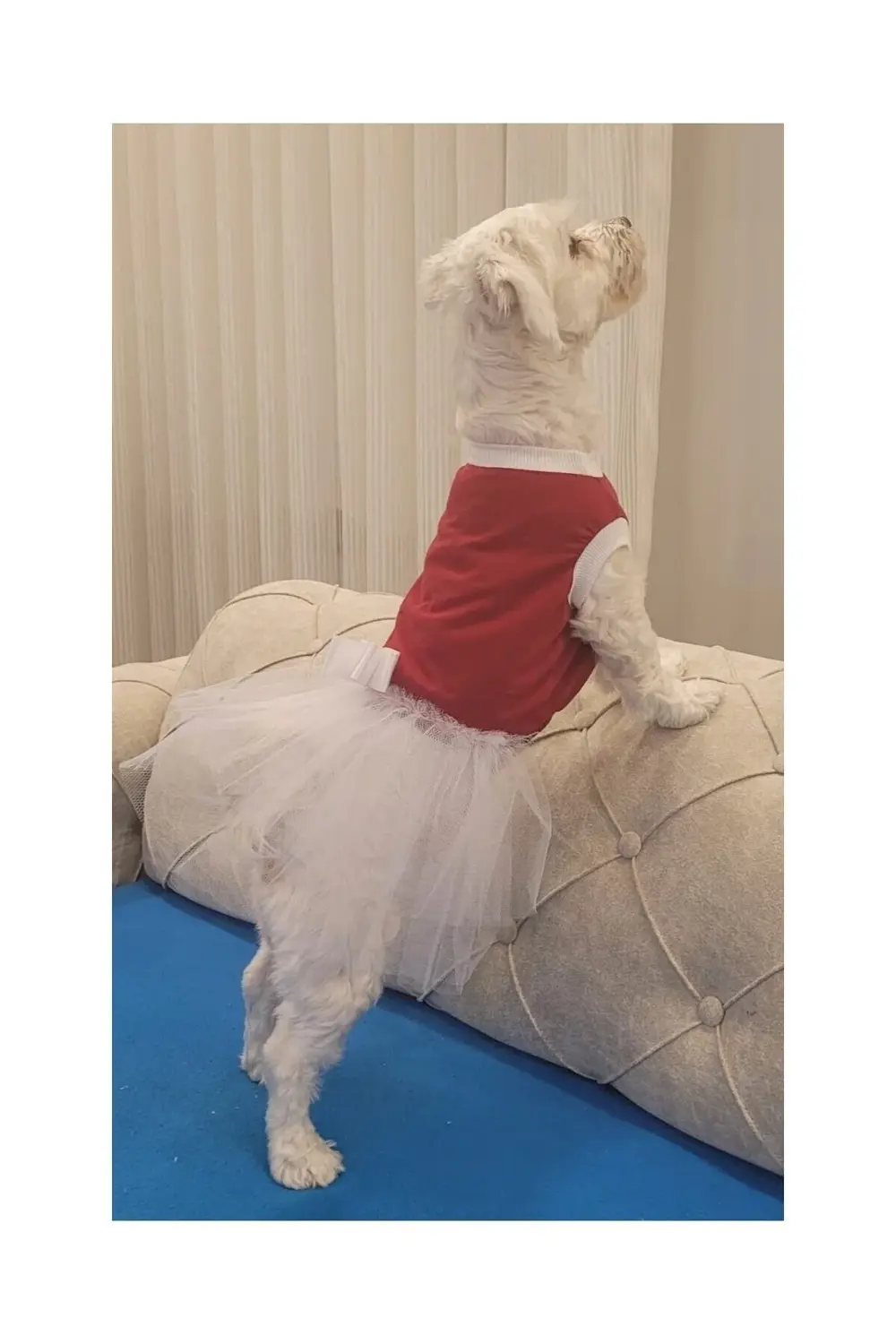 Beyaz Fiyonklu Tüllü Kırmızı Kedi Köpek Kıyafeti Elbisesi