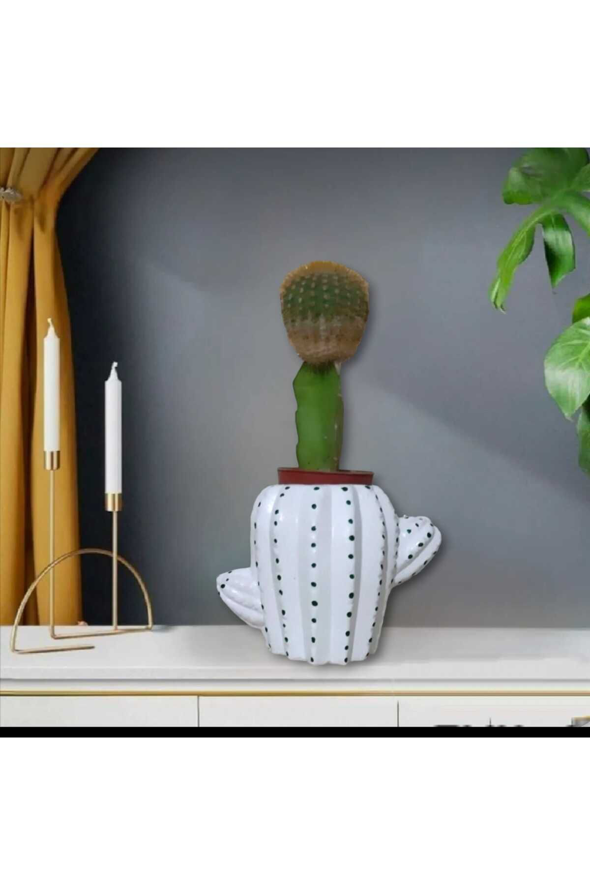 Dodemert Home Beyaz Kaktüs Beton Saksı & Mumluk Dekoratif
