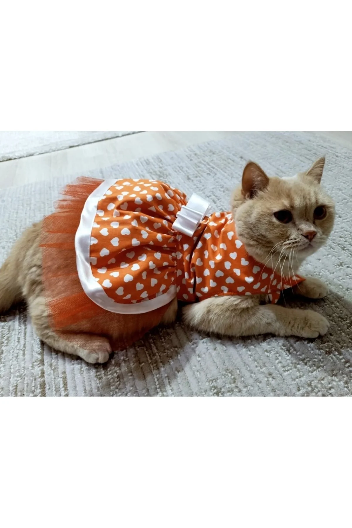 Beyaz Kalp Desenli Fiyonklu Turuncu Kedi Köpek Kıyafeti Elbisesi Large/l/beden 3