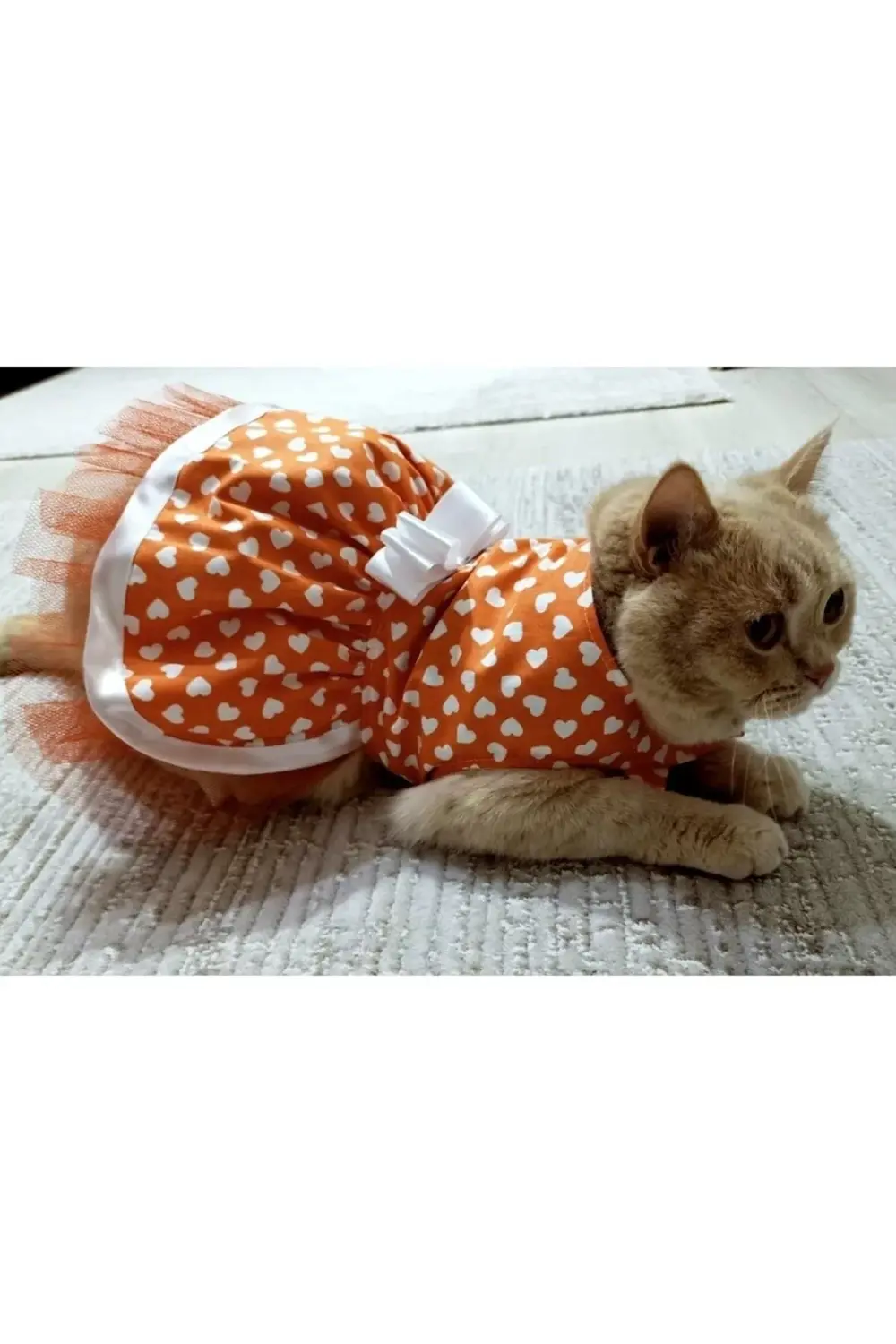 Beyaz Kalp Desenli Fiyonklu Turuncu Kedi Köpek Kıyafeti Elbisesi