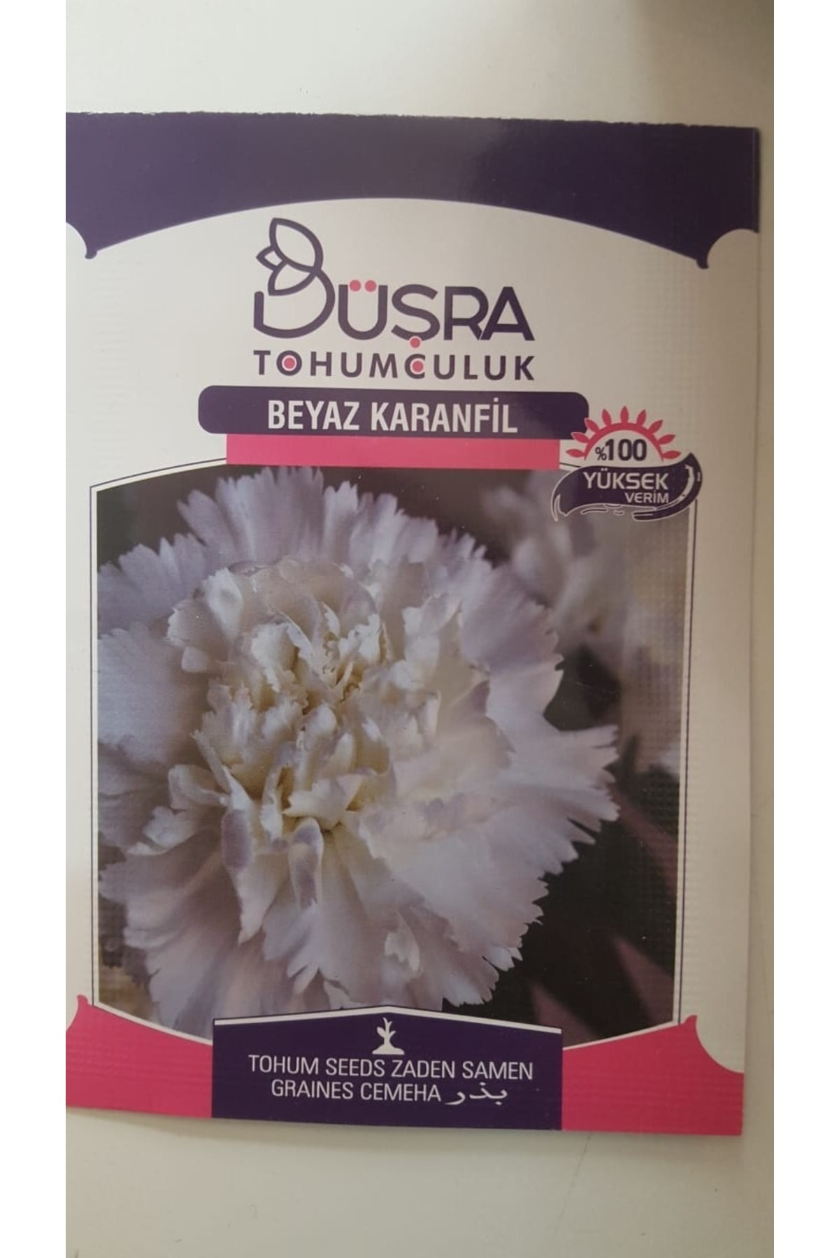 Beyaz Karanfil Çiçek Tohumu %100 Verimli