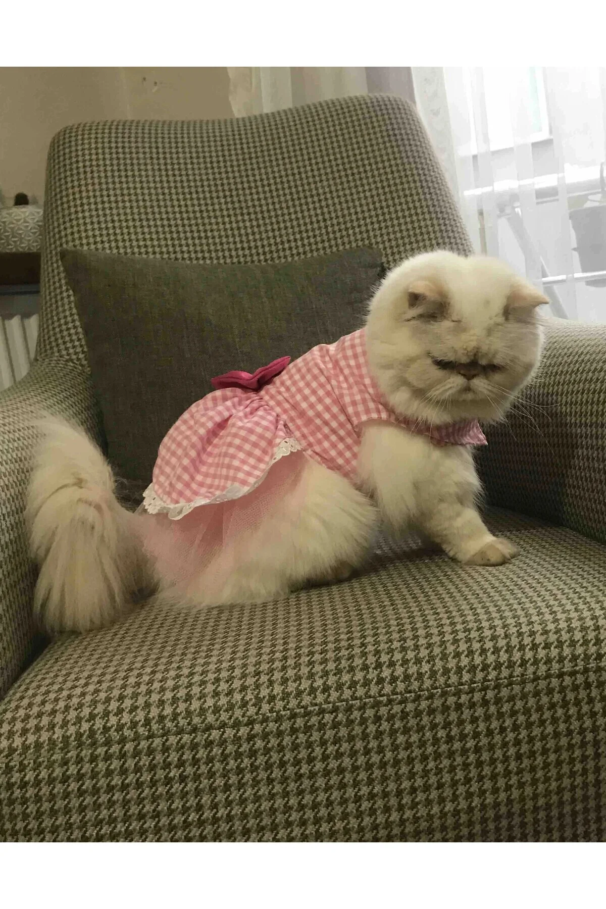 Beyaz Kareli Pembe Dişi Kedi Köpek Kıyafeti Elbisesi Medium/m/bed