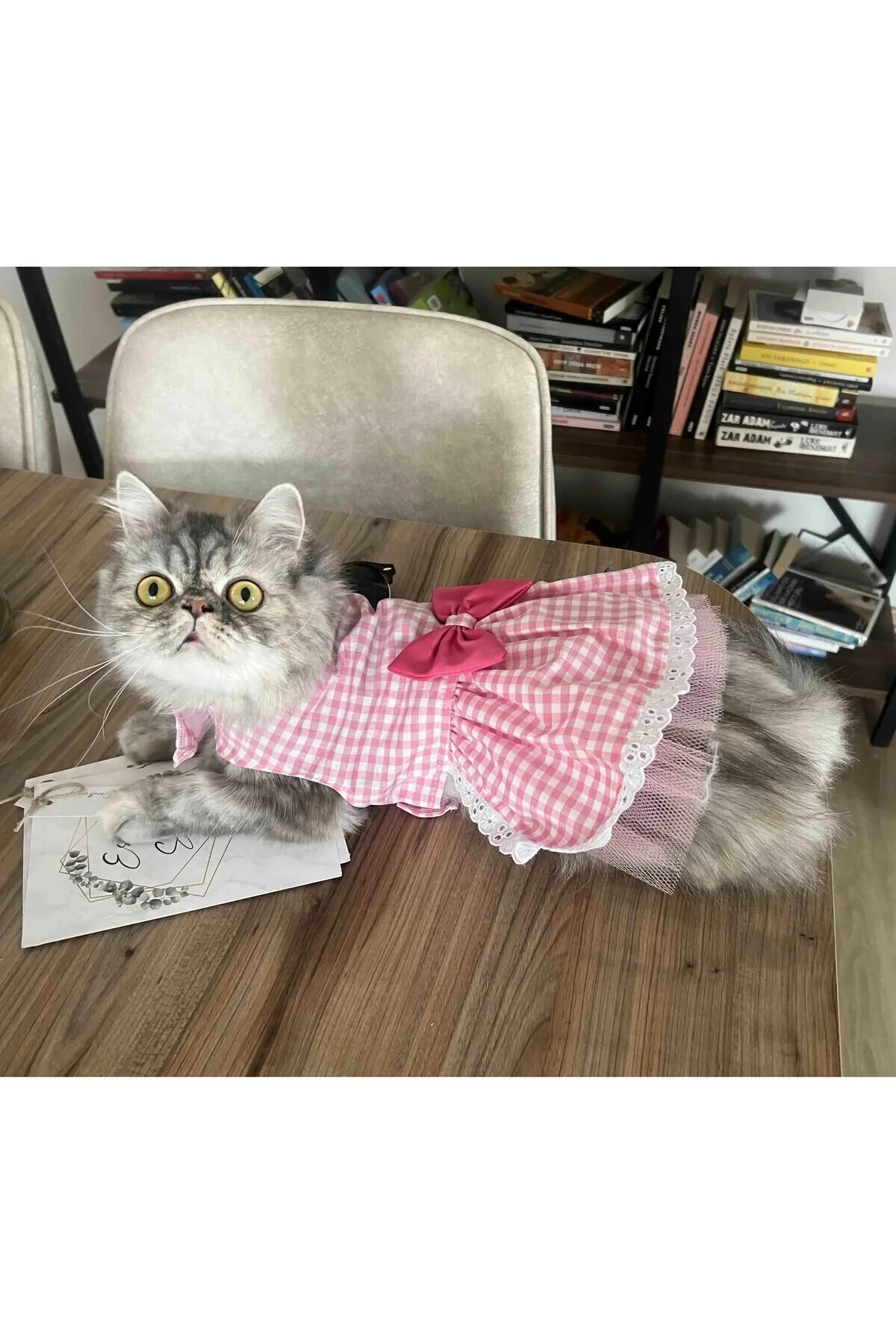 Beyaz Kareli Pembe Dişi Kedi Köpek Kıyafeti Elbisesi Medium/m/bed