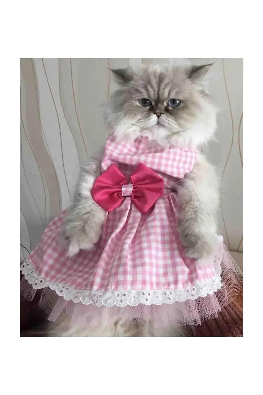 Beyaz Kareli Pembe Dişi Kedi Köpek Kıyafeti Elbisesi