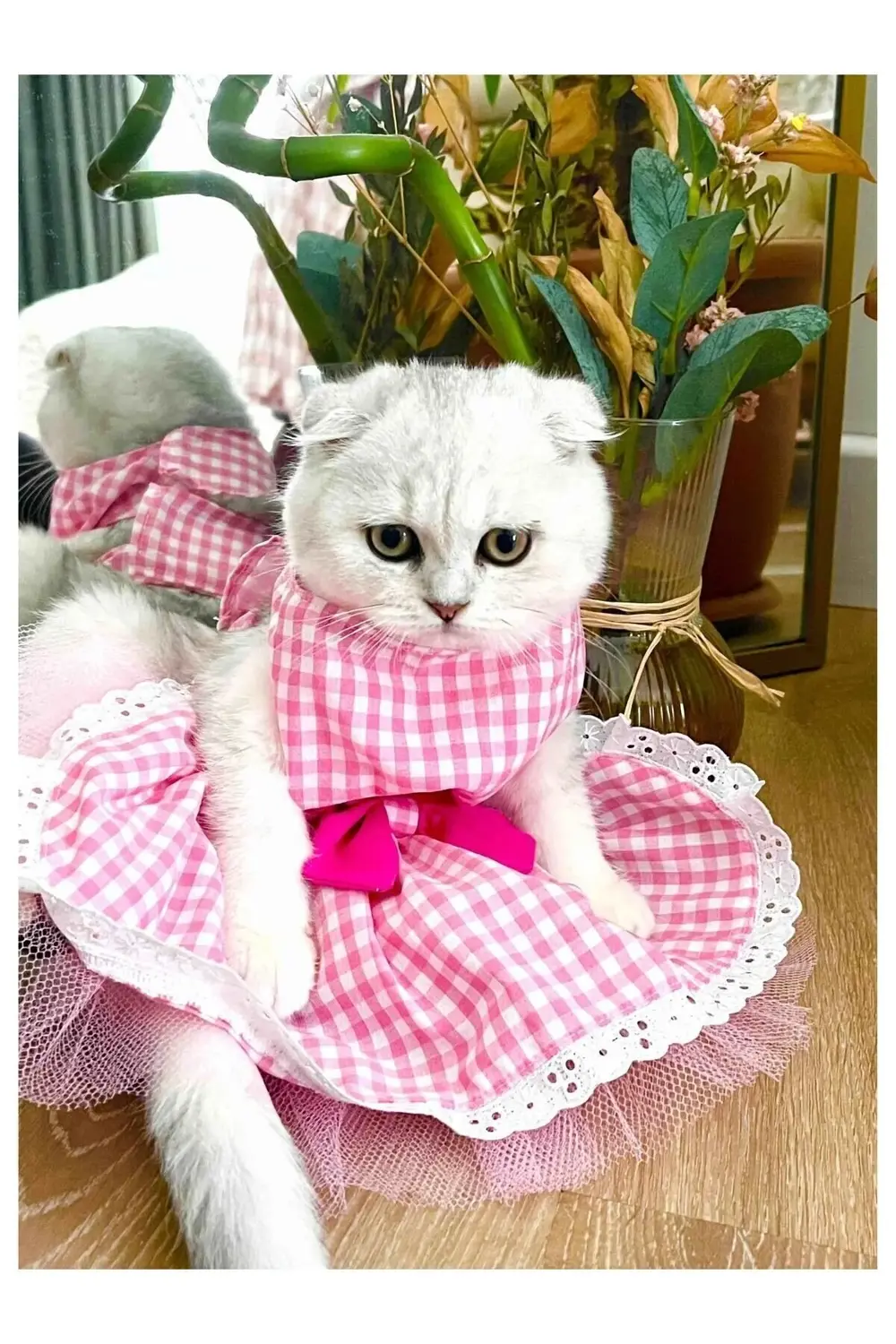 Beyaz Kareli Pembe Dişi Kedi Köpek Kıyafeti Elbisesi