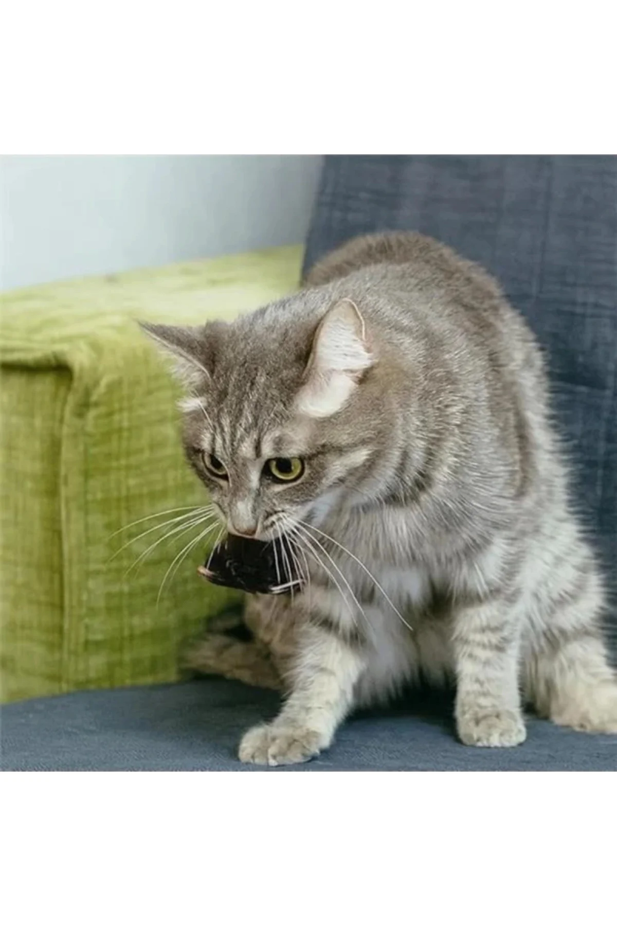 Beyaz Kurmalı Kedi Oyuncağı Hareketli Fare Şeklinde Peluş Oyuncak