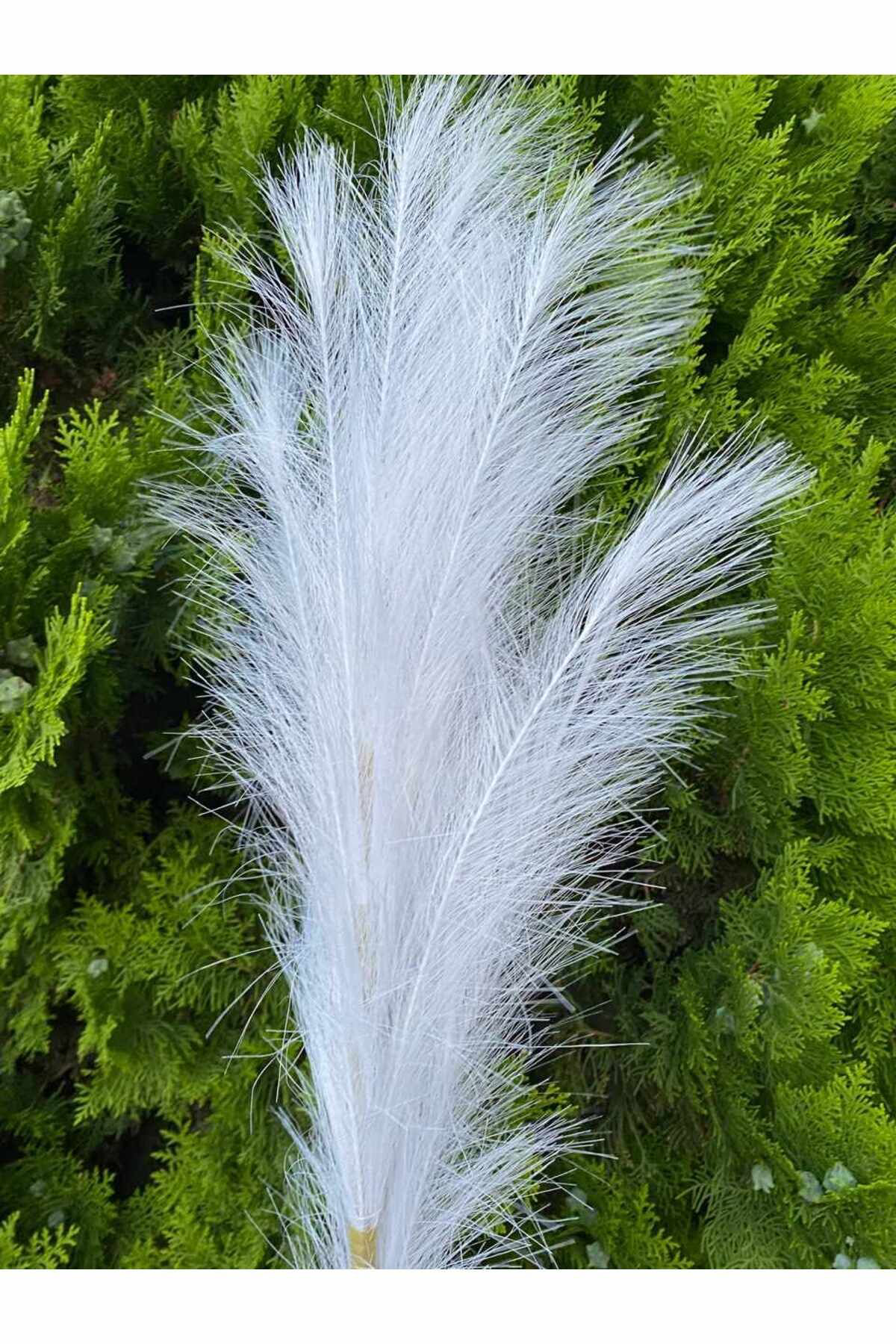 Elif Aksesuar Beyaz Pampas Yapay Dal