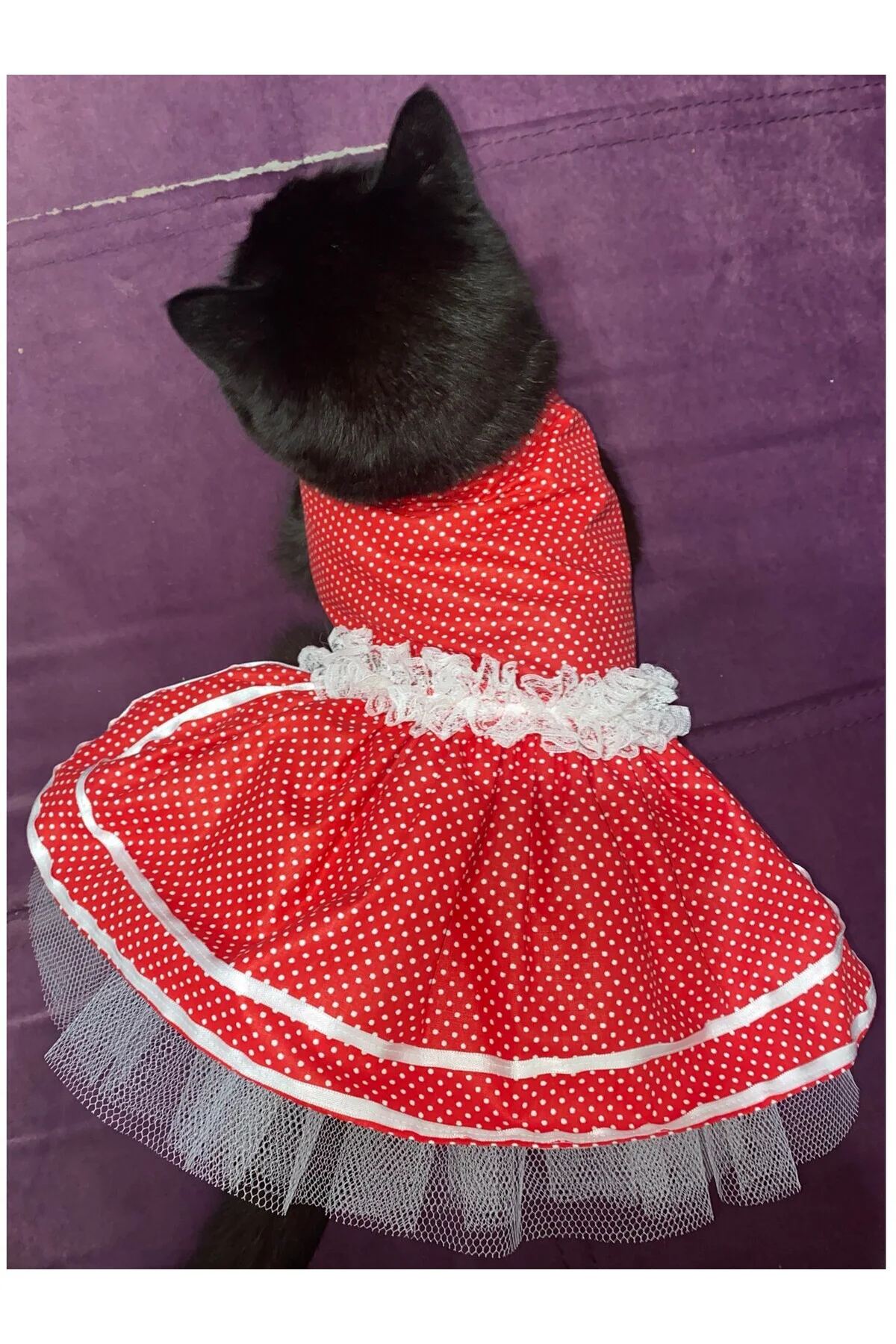 Beyaz Puantiyeli Kurdeleli Kırmızı Dişi Kedi Köpek Kıyafeti Elbis