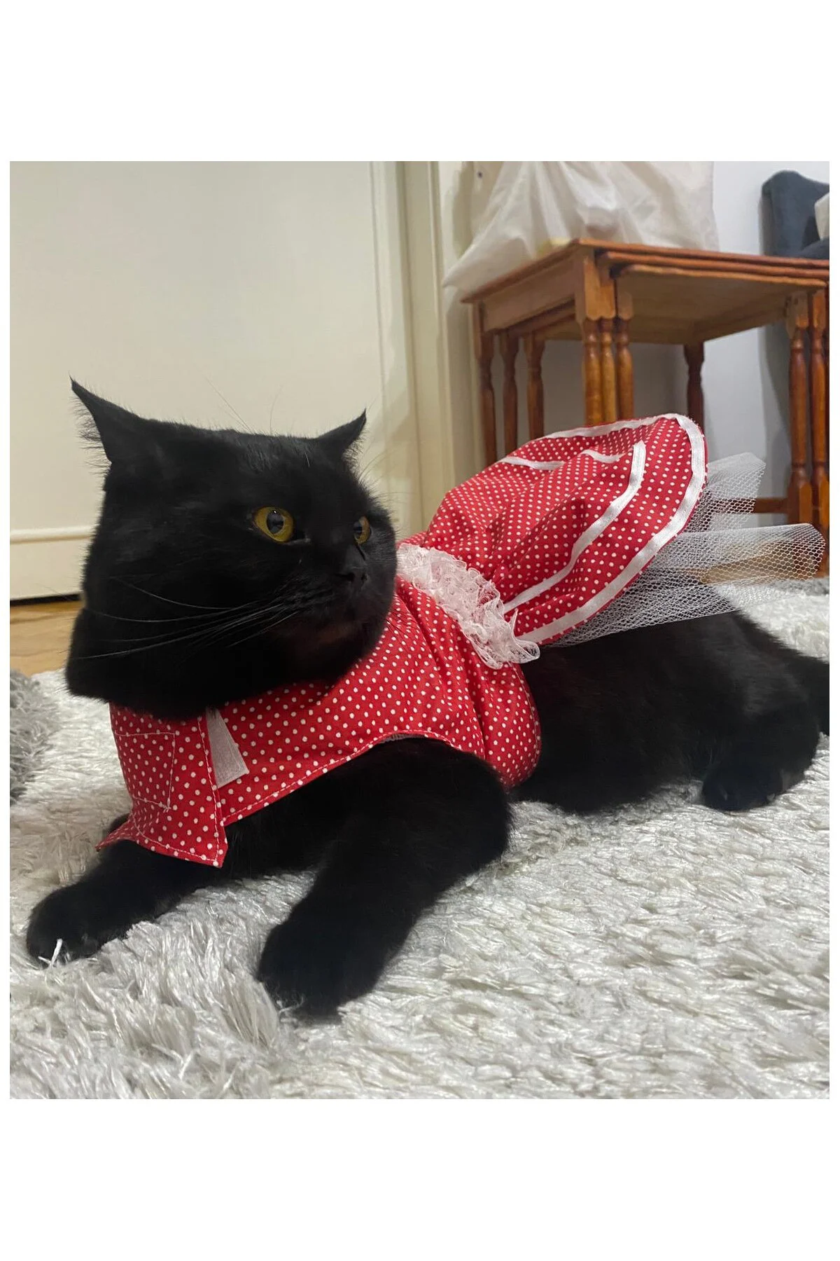 Beyaz Puantiyeli Kurdeleli Kırmızı Dişi Kedi Köpek Kıyafeti Elbis