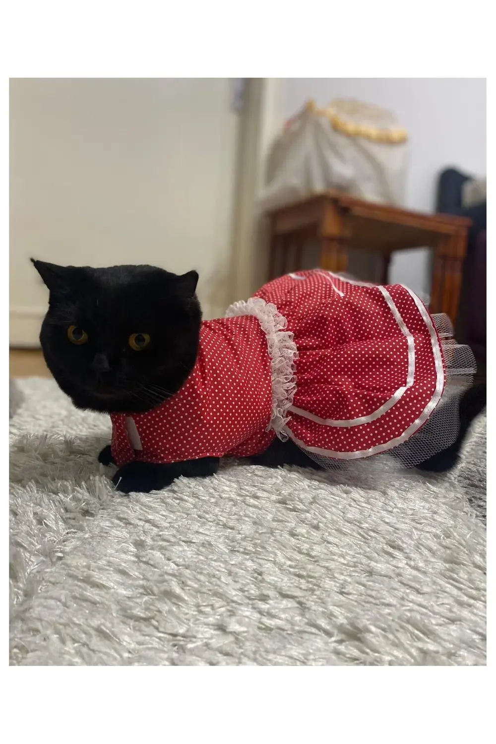 Beyaz Puantiyeli Kurdeleli Kırmızı Dişi Kedi Köpek Kıyafeti Elbis